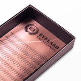 Slim Base Pre Made Volume Fans - Mixed Trays