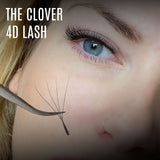 4D Clover Lashes M Curl (0.05 Mixed Trays) – SALE (Slight inconsistency)