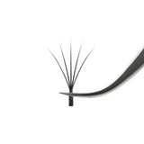 5D Clover Lashes - 0.05mm