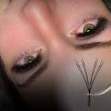 8D YY Lashes