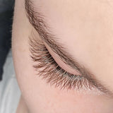 Chocolate Brown YY Lashes