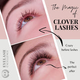 4D Clover Lashes