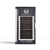 Everyday Excellence - Brown Classic Lashes