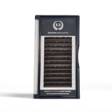 Everyday Excellence - Brown Volume Lashes