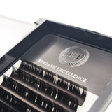 Everyday Excellence - Brown Volume Lashes
