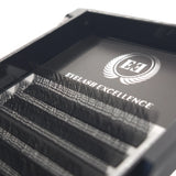 Eyelash Excellence packaging with false eyelashes inside
