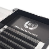 Eyelash Excellence packaging with false eyelashes inside a black box.