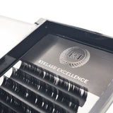 Everyday Excellence - Volume Lashes