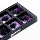 Box with compartments containing black eyelash extensions on a white background