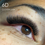 6D Clover Lashes, DD Curl (0.05mm) – SALE (Mislabelled Packaging)