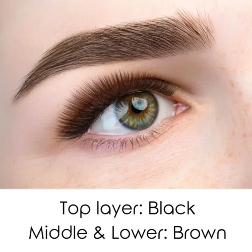 Brown YY Lashes Top Layer Look